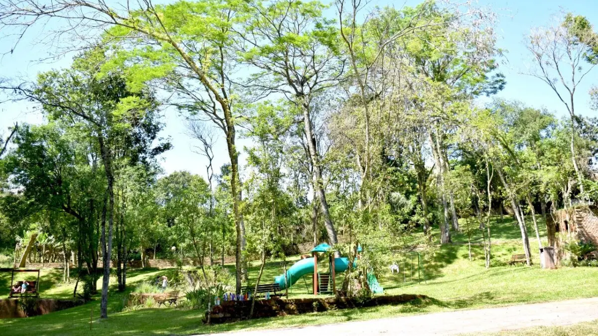 paisagem diúrna de dia ensolarado com árvores e gramado, uma brinquedo grande ao centro e crianças 